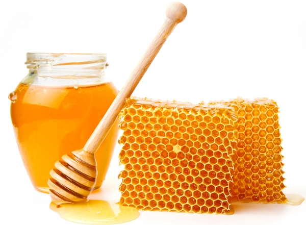 купить мед оптом в спб